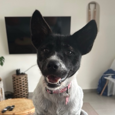 Tilly